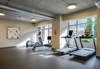 The Louisa Gym with treadmills and workout machines