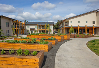 NAYA Generations community gardens