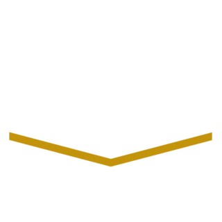 Committed leadership icon