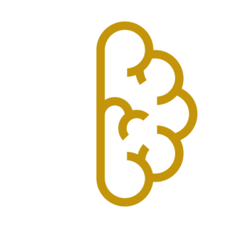 Owner's mindset icon