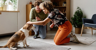 Young couple training their dog