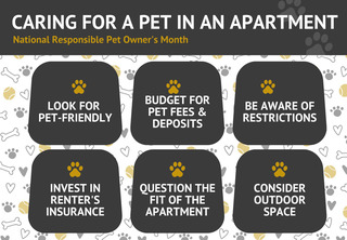 Infographic on Responsible Pet Ownership