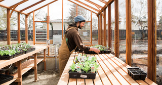 Gardener in greenhouse at Fairhaven Gardens
