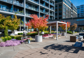 The Louisa Outdoor Terrace