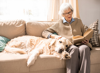 Senior women on coach with golden retriever reading a book