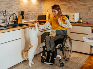 Women playing with cat